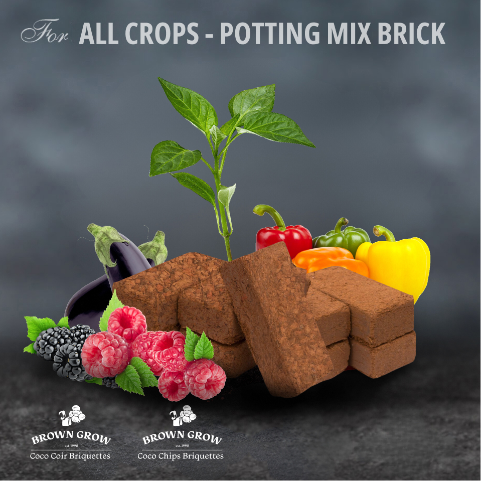 Browngrow Potting Mix Brick